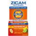 ZICAM Cold Remedy RAPIDMELTS - LEMONLIME 25CT CLM
