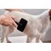 Lambskin Brush for Pets - Universal Care Brush for Dogs & Cats | Soft Grip Long & Short Hair Fur Brush | Black/Red - Buy Online on GoSupps.com