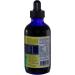 Dr. Rydland's KidsWellness Stomach Formula Herbal Supplement - 4 Ounces - Buy Online on GoSupps.com