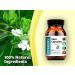 Vasa Capsules - Natural Herbal Supplement for Cardiovascular Health - Buy Online on GoSupps.com
