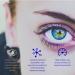 Dr. Mercola Eye Support 30 Capsules - Boost Vision & Eye Health - Buy Online on GoSupps.com