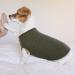 Buy Hjumarayan Dog Sweater for Small Dogs - Washable Elastic Striped Shirt for Chihuahua & Yorkshire Terrier (XS Military Green) - Buy Online on GoSupps.com