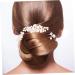 WOFASHPURET 1 Set Piece girls hair clips headpiece for bride hair clips for girls bride decor hair accessory for women pearl hair accessories for women pearl trim Metal Miss big pearl wedding - Buy Online on GoSupps.com