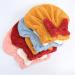 Super Absorbent Microfiber Hair Towel Wrap - Fast Drying & Ultra Soft for All Hair Types - 2PCS - Buy Online on GoSupps.com