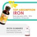 Baby's Liquid Iron Supplement with Folic Acid, Vitamins - Non-GMO, Vegetarian, Gluten Free | Gentle Iron Drops for Infants & Toddlers 1 Fl Oz - Buy Online on GoSupps.com