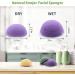 Organic Konjac Sponge Set for Deep Cleansing and Exfoliation - 4 Count Pack for Skin Care - Shower Bath and SPA - 4 Colors - K4-1 - Buy Online on GoSupps.com