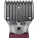 Masterclip Cordless Horse Clipping Combo - HD Roamer Heavy Duty with Showmate Mark II Trimmer - Available in 3 Colourways (with Blue Showmate) - Buy Online on GoSupps.com