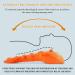 Buy Triggerpunkt Massage Device - Original Back Extension Neck Pillow & Trapezius Stretcher for Effective Neck & Trapezius Relief | International Shipping Available - Buy Online on GoSupps.com