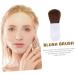 DOITOOL 1 Set Blush Brush Mini Brush Blending Cosmetic Brush Mini Blusher Brush Kit Liquid Blush Handle Blusher Brush Powder Buffing Brush Cheek Cream Miss Plastic Handle White Makeup - Buy Online on GoSupps.com