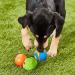ChuckIt! Fetch Rubber Dog Ball Medley Strato Erratic Ultra Squeaker Balls for Dogs Durable High Bounce Launcher Compatible Dog Toy Gen 2 - 3 Pack Medium Multi Medium - Buy Online on GoSupps.com