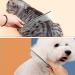 Metal Dog Combs for Grooming 2PCS Metal Stainless Steel Dog Grooming Comb Cat Comb Silver Pet Comb Suitable for Dog Cat Pet Fur Detangling - Buy Online on GoSupps.com