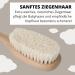 Parsa Beauty Baby Hair Brush | FSC Beech Wood & Goat Hair | Gentle Care for Fine Baby Hair - Buy Online on GoSupps.com