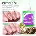  gelike ec Gelike EC Fast Absorbing Cuticle Care Moisturizing and Repairing Oil - Natural Kiwi Fragrance for Women and Men (Dry & Damaged Nails) - Buy Online on GoSupps.com