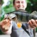 Giantree Fly Fishing Set - 5-Piece Golden Sequin Bait Kit with Mosquito & Bee Hooks for Perch Trout Salmon - Premium Fishing Accessories - Buy Online on GoSupps.com