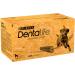 DENTALIFE Large Dog Treat Dental Chew 36 Stick Pack of 2 - Buy Online on GoSupps.com