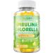 Organic Spirulina Chlorella Gummies Super Greens Blend with Protein Chlorophyll Vitamin C D3 B12 Zinc Supports Daily Energy Immune System & Antioxidant Intake Pineapple Flavor 60 Count 60 Count (Pack of 1) - Buy Online on GoSupps.com
