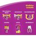Whiskas Cat Milk for Cats from 6 weeks - Delicious Snack for a Happy Cat - Lactose-free and Easily Digestible - Different Sizes Milk 3 l (Pack of 1) - Buy Online on GoSupps.com
