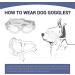 NAMSAN Small Dog Goggles UV Protection Adjustable Clear Sungalsses for Dogs - Windproof and Easy to Wear Puppy Glasses in Clear Black - Buy Online on GoSupps.com