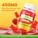 Refortu Alpha Lipoic Acid Gummies with ALA Vitamin B1 B6 B12 Benfotiamine and Biotin High Absorption ALA Supplement for Energy and Health Raspberry Flavor (60 Counts Pack of 1) - Buy Online on GoSupps.com