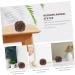 JECOMPRIS 2S Wenwan Handle Baoding Ball - Aus Wood Decorative Culture Sculpture for Handball Practice | 4x4x4cm - Buy Online on GoSupps.com
