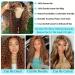 20 Inch Ombre Highlight Lace Front Curly Wig 4/27 150% Density Honey Blonde Human Hair - 13X4 HD Lace Frontal, Pre Plucked with Baby Hair - Buy Online on GoSupps.com