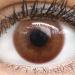 Venice Milky Brown Contact Lenses - Natural Silicone Comfort 1 Pair (0.00 Diopters) + Container | Shop Internationally at GlamLenses - Buy Online on GoSupps.com