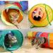Rainbow-S Cat Tunnel: 2-Way Collapsible Pet Toy for Indoor & Outdoor Fun - Buy Online on GoSupps.com