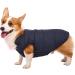 ASENKU Windproof Waterproof Dog Winter Coat | Warm Fleece Lined Jacket for Small Medium Large Dogs | M Chest 15-17.3 Length 12.6 Blue - Buy Online on GoSupps.com
