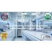 Espure Organic Lion's Mane USDA Certified Organic Lab Tested Non-GMO Gluten Free 60 Count - Buy Online on GoSupps.com