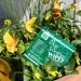 Bug Soother Wipes - Natural Insect Repellent Mosquito & Gnat Deterrent - 100% DEET-Free Safe for Adults Kids & Pets - Made in USA (15 ct - Buy Online on GoSupps.com