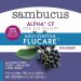Nature's Way Sambucus Flucare Syrup - Natural Immune Support, 4 Fl Oz - Buy Online on GoSupps.com