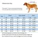 Rehabilitation Suit for Medium & Large Dogs - Breathable Full Cover Pajamas for Post-Op Recovery & Skin Protection | Cone Collar Alternative - Size 32 Strawberry - Buy Online on GoSupps.com