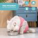Avont Katzenbody Recovery Suit for Cats - Post-Op Clothing Leak Protection for Abdominal Wounds & Skin Diseases - Rose Pink S - Buy Online on GoSupps.com