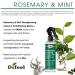 Difeel Rosemary & Mint Strengthening Leave-In Conditioning Spray with Biotin 6 oz - Natural Hair Growth Treatment - Buy Online on GoSupps.com
