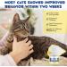 Cjztp Cat Calming Diffuser Enhanced Cat Pheromones Diffuser Starter Kit for 30 Days Supply Cat Anxiety Stress Relief to Reduce Fighting Scratching 48ml - Buy Online on GoSupps.com