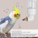 Deosdum Automatic Bird Water Dispenser - Parrot Drinking Fountain & Cage Accessories (White) - International Shipping Available - Buy Online on GoSupps.com
