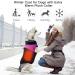 Warm Waterproof Dog Coat for Small & Medium Dogs - Pink Winter Jacket with D-Ring - Buy Online on GoSupps.com