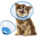 Vivifying Adjustable Pet Collar for Puppies & Small Dogs | Lightweight Protective Collar (Blue-L 20-24.5 cm) - Buy Online on GoSupps.com
