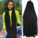Passion Twist Hair 30 Inch: Freetress Water Wave Crochet Hair for Black Women-Long Bohemian Passion Twists Braiding Hair Extensions (8 Packs 1B) 30 Inch (Pack of 8) 1B