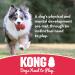 Kong Extreme Ball - Durable Rubber Dog Toy for Strong Chewers - Medium to Large Dogs - 1 Pack - Buy Online on GoSupps.com