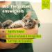 Ida Plus Renal Care Mini Sticks for Cats - Supports Kidney Health & Urine Excretion - 80 pcs - Phosphate & Uremic Toxin Control - Buy Online on GoSupps.com