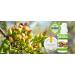 100% Natural Pistachio Flavor Drops | Zero Calorie & Sugar-Free Taste Enhancer | Ideal for Baking Water and Curd | 10ml Pack - Buy Online on GoSupps.com