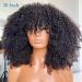 Eyelissom Afro Kinky Curly Wig 14 Brazilian Virgin Human Hair 200% Density Full Machine Made Scalp Base Wig for Black Women - Buy Online on GoSupps.com