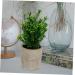 TOPBATHY False Green Plant 5 Pcs Simulated Potted Plant Pulp Potted Plants Household Fake Trees Artificial As Shownx5pcs 21.5x8cmx5pcs - Buy Online on GoSupps.com