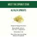 Chai Balance Sprout Powder - Organic Caffeine-Free Golden Milk with Turmeric Adaptogens & Warming Spices - Buy Online on GoSupps.com