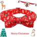 Buy Lionheart Glory Christmas Dog Hall Band - Adjustable Soft Loop Collars for Small Dogs | Red Dog Loop Collar for Boys & Girls - Buy Online on GoSupps.com