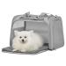 Petsfit TransportBox cat dog foldable carrying bag dog bag for cat small dog portable dog travel bag for dogs with shoulder strap and expandable bed inlay L gray l gray