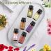 Rose Cherry Lavender Gardenia Ylang Ylang Chamomile Essential Oils Set 100% Pure Natural Aromatherapy Oil Gift kit for Diffuser Home Care Candle Making Aromatherapy Humidifiers 6PCS - 02 20.00 ml (Pack of 3) - Buy Online on GoSupps.com