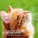 AniForte Taurine for Cats 100g - Essential amino acid for maintaining healthy retina immune system & metabolism maintenance of heart function & cardiovascular system - Buy Online on GoSupps.com