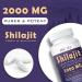 2000mg Organic Shilajit Supplement - 100% Pure Resin Capsules with 85+ Minerals & 60% Fulvic Acid - Boost Energy & Immunity - Vegetarian - Natural - 60 Count - Buy Online on GoSupps.com